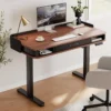Standing Desk Whole-Piece Desktop 55 x 28 Inches Height Adjustable Desk with 3 Drawers Home Office Table with 3 Memory Preset