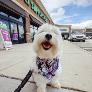 Pet Supplies